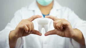 dentista-de-sexo-femenino-que-sostiene-el-modelo-del-diente